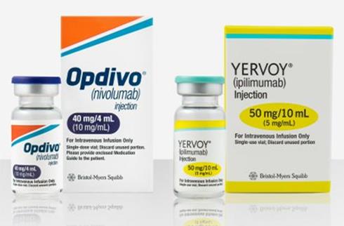 Opdivo与Yervoy双免疫组合治疗晚期肝癌进入FDA优先审查