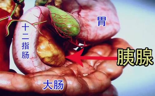 【胰腺癌】如何检查胰腺癌