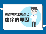 【癌症患者常见症状】——1了解皮肤