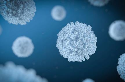 癌细胞是如何做到回避人体免疫反应