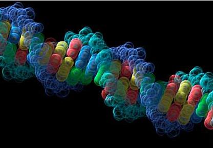 研究人员揭晓肿瘤DNA永生的原因