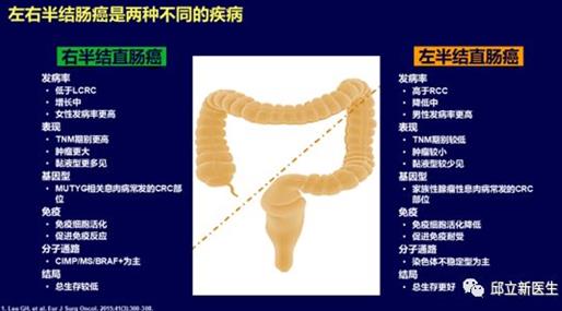 史上最全靶向治疗及免疫治疗大盘点和免费药物大放送