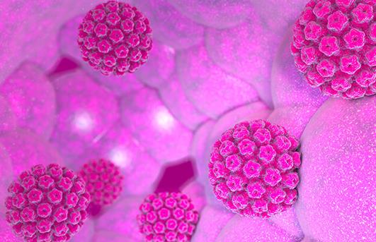 日本HPV疫苗接种率的恢复能减少宫颈癌死亡人数