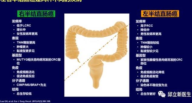 肠癌免费治疗机会（含大量靶向治疗或pd1免疫治疗等新药的临床试验）