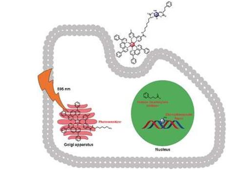 新药物结合化学疗法与光动力学疗法以对抗肿瘤耐药性