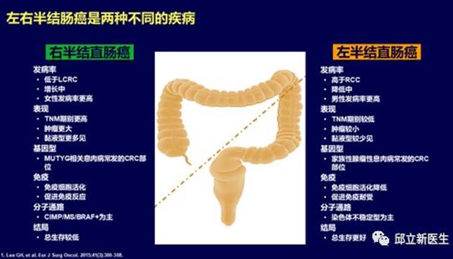 肠癌 | 可以有那么多治疗新选择，作为家属的你赶快了解一下！