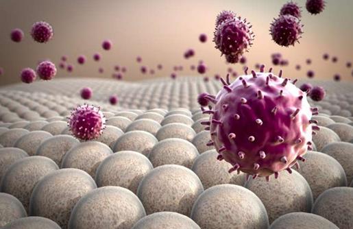 CAR巨噬细胞或可超越T细胞抗击实体瘤