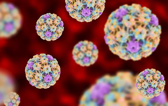 微生物组可能是识别感染HPV感染癌前高危女性的关键