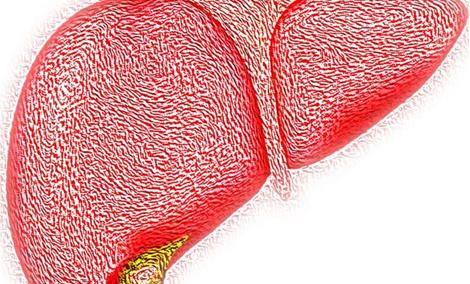 免疫治疗PD-1+CTLA-4联合抗肿瘤！