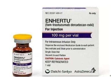 Enhertu (Fam-trastuzumab deruxtecan-nxki Injection)