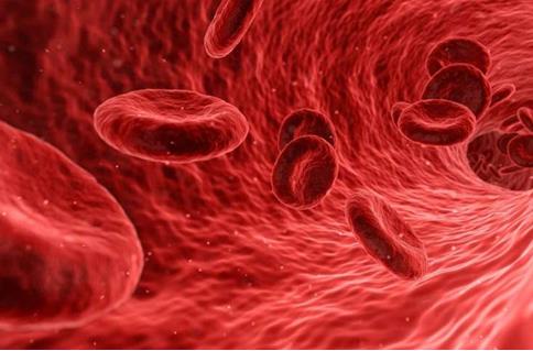 验血可以预测是否从免疫疗法中受益