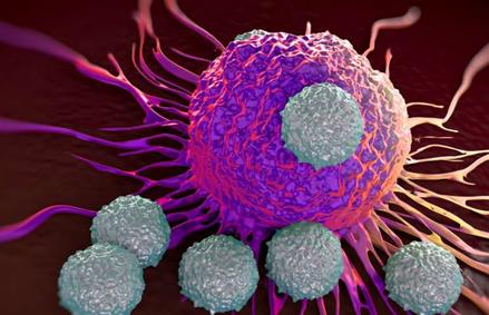 新工具可识别哪些癌症患者最有可能从免疫治疗中受益
