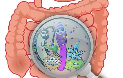 肠道中的微生物可以减少来自辐射的伤害