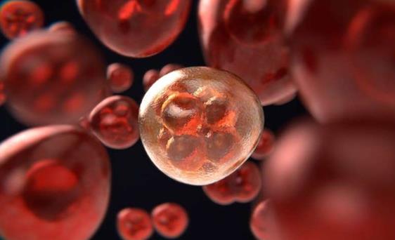 研究人员发现阻止正常细胞“癌化”2个关键点
