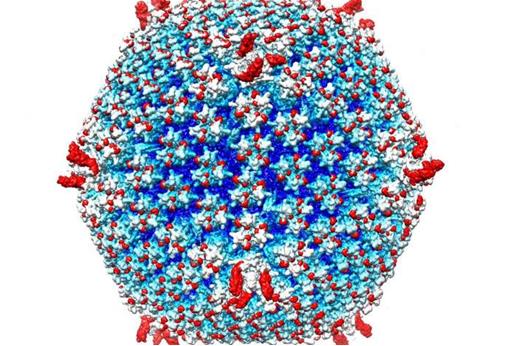 研究者改造“溶瘤病毒”可抵抗转移性癌症的新武器