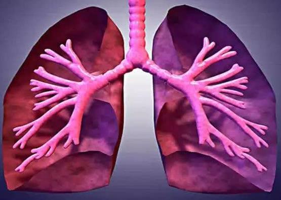 怀疑肺癌应该做哪些检查？